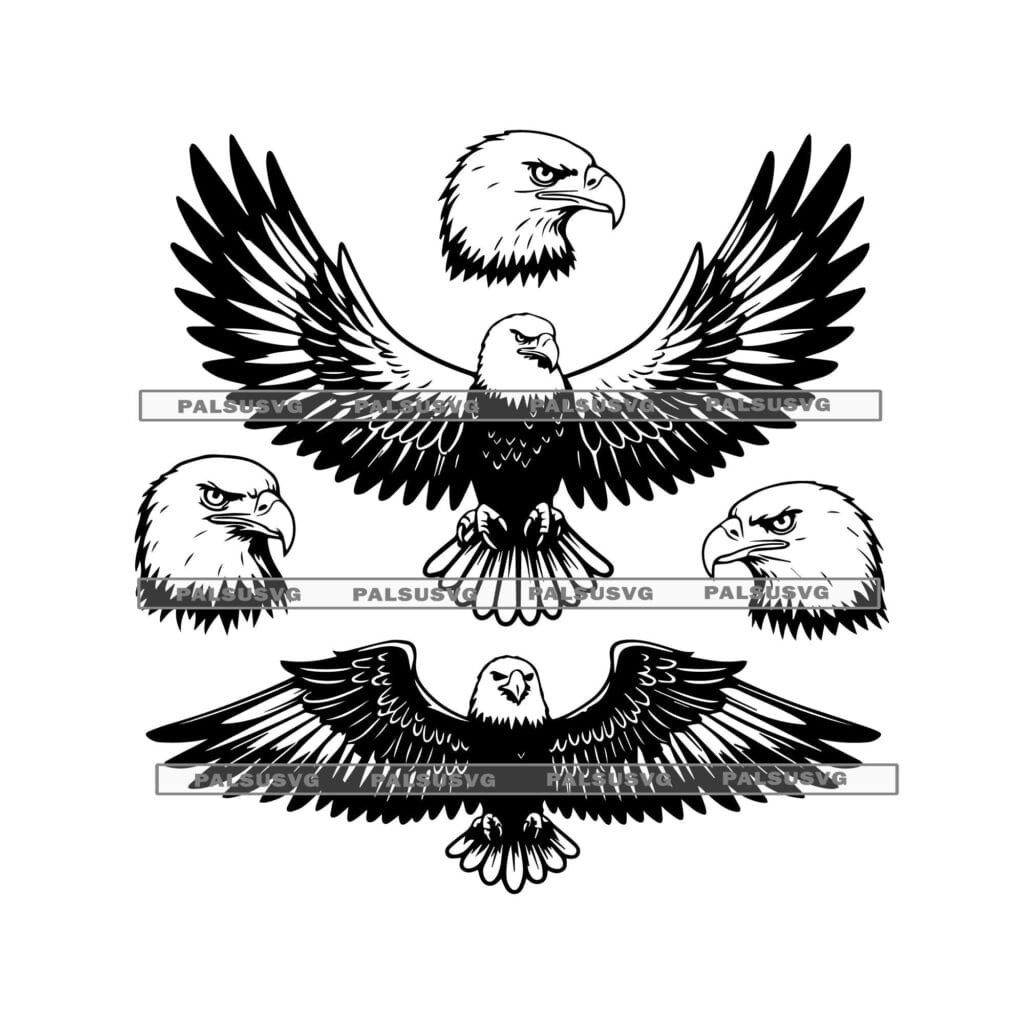 Bald Eagle Vector SVG