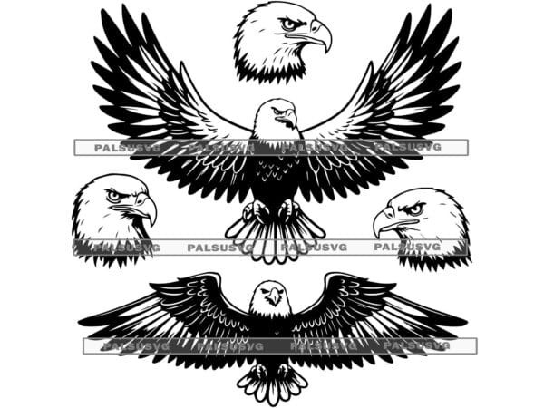 Bald Eagle Vector SVG